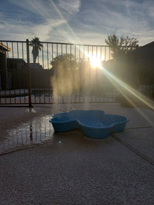 Misting Paw Pool